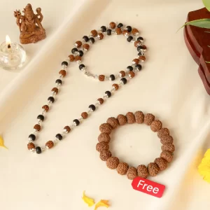 Divya Raksha Rudraksha & Karungali Mala with FREE 7 Mukhi Rudraksha Bracelet