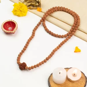 12 Mukhi Rudraksha Bead in 5 Mukhi Rudraksha Mala