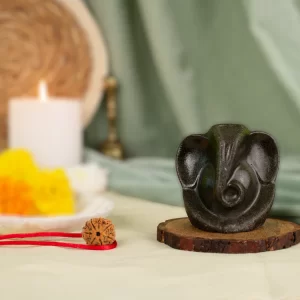 Pyrite Ganesh Ji Murti with 7 Mukhi Rudraksha