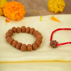 7 Mukhi Rudraksha Combo