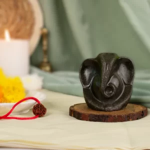 Pyrite Ganesh Ji Murti with Ganesh Mukhi Rudraksha